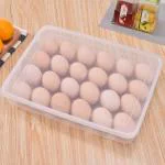 ZooY 1pcs Egg holder 24 grid Egg Trays for Refrigerator with Lid Egg Tray Container(Pack of 1,Clear)