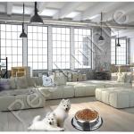 Pets Empire Steel Dog Bowl Pet Supplies With Non Slip Rubber Ring Dog Feeder ,Set Of 2