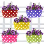 Trustbasket Multicolor Dotted Oval Railing Planters (5)