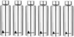 STEEPLE VISAXMI Stainless Steel Water Bottle 1000 ml (Pack of 6)