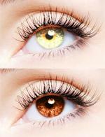 EYCOG Gold PolyHema Contact Lenses (Pack Of 2)