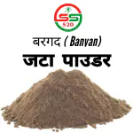 SS520 Banyan Roots Powder 50g.Marri Udala Powder Bargad Vat Jata Powder Ficus Benghalensis Aal Bad Root Powder