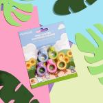 MUMUSO Multicolor Eraser 3 X 2.5 X 1 Cm Eraser(pack fo 2)