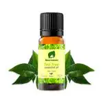 Ayurmeans 100% Origins Tea Tree Essential Oil for Skin Cleansing & Hair (10 ml)
