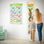 GOWOO Life Cycle Chart and JUNGLE HEIGHT CHART | Set of 2 charts 1 Educational + 1 Height Chart | A Combo of Life Cycle Chart and Jungle Height Chart for Curious Minds