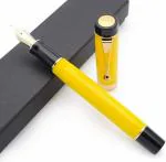 GOLD LEAF Jinhao 100 Classic Fountain Pen Celluloid, Fine Nib with Converter and Pen Case Set,Yellow