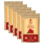 Khadi Ark Hibiscus Powder (Premium Quality) For Treating Hyperpigmentation. (Pack of 5) (500 g)