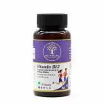 Dr. Nature Vitamin B12 Capsule with Ginseng & Ginkgo Biloba 500mg | Enriched with Vitamin C, E and Folic Acid, Boost Energy Health Supplement (60 Caps)