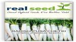 PLATONE Radish F1 Hybrid Imported Vegetable Seeds-1500 Seed(Pack Of1500 x Seed)