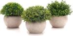 Dekorly Plastic Green Artificial Potted Plants Bathroom Fake Shelf Plant With Pot (Pack Of 3)