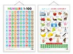 GO WOO Combo of 2 Numbers 1-100 and Arabic Alphabet?(Arabic) Educational Posters | Charts for Kids