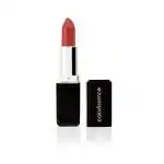 Coloressence Moist Matte Lipstick, Long Lasting Waterproof Smudge Proof Lip Color - Heroine 4g