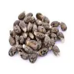 Nutrixia Caster Seed / castor / Ricinus communis/ Erand Seed / Arand Beej 250 Gms