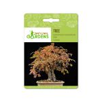 National Gardens European Mountain Ash Bonsai Seeds (10 Nos)