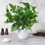Elemntl Artificial Money Plant in White Pot