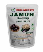 i Agri Farm Jamun Seed Powder / 250g / Naval / Jamun Seed / Jambolan / Java Plum Powder