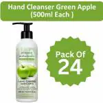 Zimmer Aufraumen Hand Wash With CHG Disinfectant Pack (24X500ML) (Green Apple)