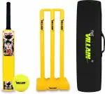 THE VILLAIN Goku Cricket Bat, Ball, Wicket & Cover | Size 4 - Age Group 6-8 | Multicolor Cricket Kit