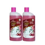 SOULFRESH 500ml each Disinfectant Surface & Floor Cleaner Liquid Floral, kills 99.9% Germs, Pack of 2