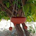 Prosperity Terracotta Bird Feeder/Handcrafted Natural Clay Bird Feeding/Bird Feeder Hanging for Balcony Indoor & Outdoor