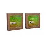 Divine Tree Expand N Grow Cocopeat Brick By Divine Tree | Coco Peat Potting Soil Mix For Gardening 8-10 Kg