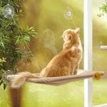 Sage Square Cat Hanging Hammock Mounted Basking Bed Resting Sunny Seat For Cat Kitten Puppy