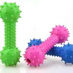 PSK Pet Mart Dogs Squeaky Toy (Pack Of 3)