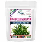 Erwon Lucky Bamboo Potting Mix, Premium Essential Powerful Organic Soil with Plant Growth Booster, Charged Micro-Organism and ++ Micronutrients (5 kg)