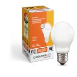 Kolors LED Bulb 7W Cool Daylight (6500-7500K) , E27, Screw Type PACK OF 1