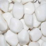 Maalavya Pebbles Glossy Home Decorative Vase Fillers White Stone - 15 Kg