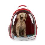 Pets Empire Pet Transparent Cat Carrier Backpack Puppy Kitty Breathable Carriers For Travel