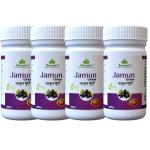 Dhanwantri Natural Herbs Care Private Limited Jamun Churan | Jamun Powder Pack of -4