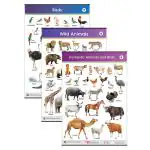 Target Publications Jumbo Domestic and Wild Animals & Birds Charts Set of 3 (2-6 years)