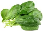 Greenery Hub Organic Baby Spinach Seeds (10 Per Packet)