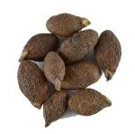 HerbalPrash Niranjan Phal 50Gram| Sterculia Lychnophora | Malva Nuts | China Nuts | Umasmangu | Small Size