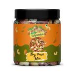 THE DRY FRUIT GARDEN Mix Dry Fruits (Almonds, Apricots, Cashews, Pistachios, Walnuts, Raisins) Pack of 500 Gram with Jar Packaging