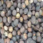 Xetomos Bakayan Phal Bakain Phal Melia Azedarach with Seed 100g