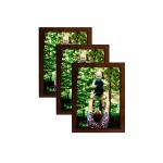 OFC ERA Photo Frame wooden wall Décor for Gifting Decorative 3 PC Set