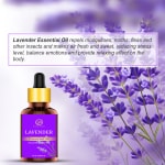 Lavender Essential Oil