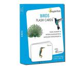 GrapplerTodd Multicolor Paper Montessori Educational Premium Flash Cards 6 Months to 6 Years Kids (pack of 48)