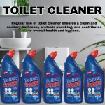 BLISS & BLUSH Toilet Cleaner blue R2500ml emoves Tough Stains - Advanced Thicker Formula - Provides Long Lasting Freshness