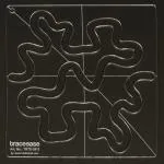 Traceease 1 Piece Meander Stipple Quilting/ Applique Inlay Template 8