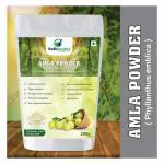 Vedicmedics Amla Powder ( Phyllanthus Emblica) 200g