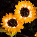PLEXUS Outdoor landscape sunflower led solar garden light (PECK OF 2)