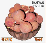 SS520 Dry Banyan fruits 50g. Bargad phal Aalam Pazham Indian Fig Marri Udala vat phal