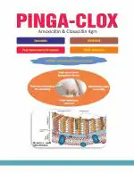 BUTACAL Amoxycillin & Cloxacillin for Injection Pinga-Clox Injection 4GM