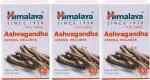 Himalaya Pure Herbs Ashwagandha Ayurvedic Medicine (3 Packs, 60 Tabs Each)