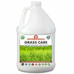 Erwon Grass Care Organic Liquid Fertilizer (500 ml)