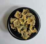 Nutrixia Bay Khumba-Careya Arborea-Vakumbha-Kumbhi-Baikhumba 100 Gms