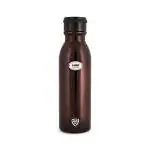 Cello Premium Quality Stainless Steel Double Walled Water Bottle - 600 ml